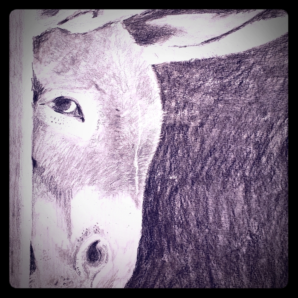 Peekaboo Donkey 11x15 signed dated sealed